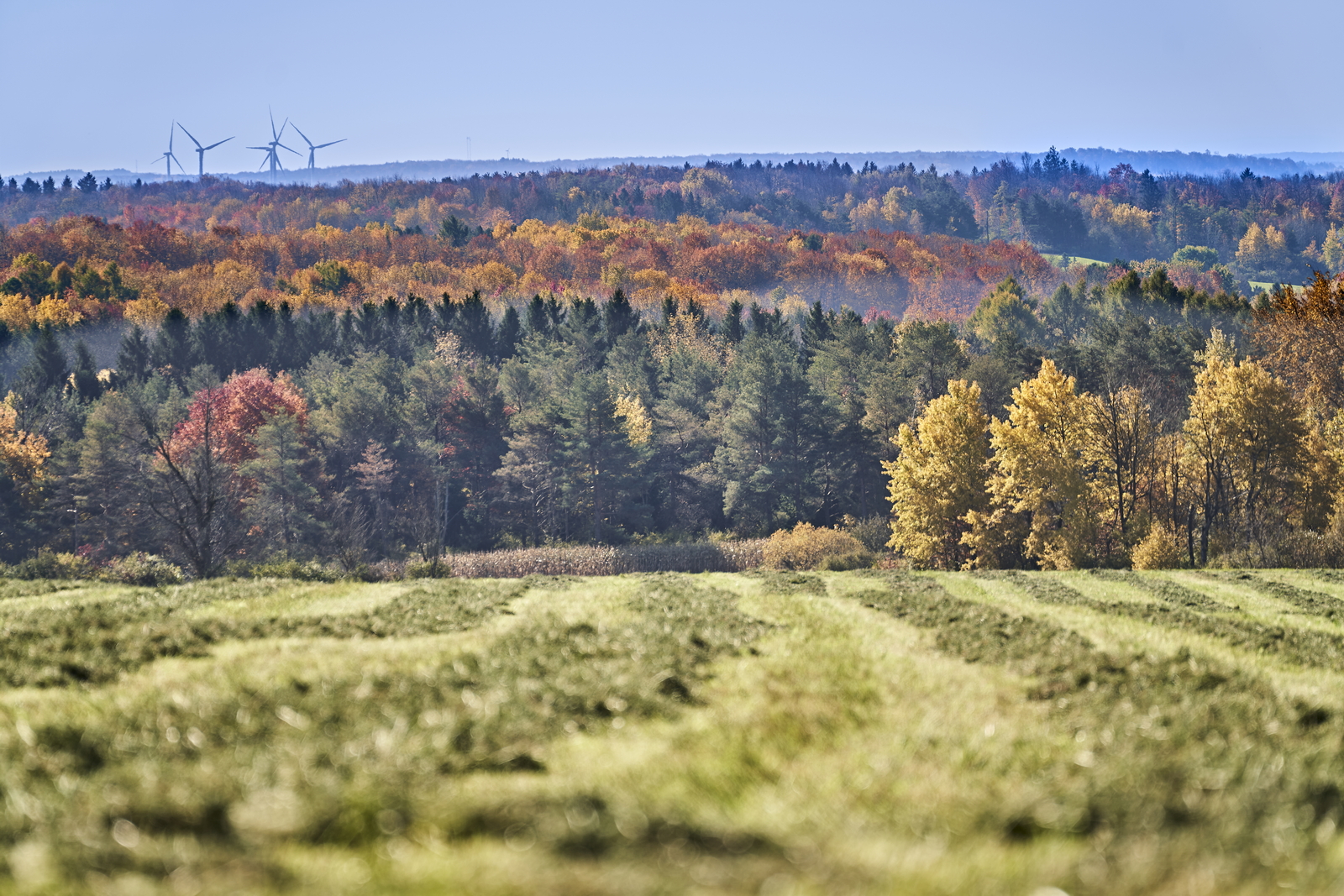 Indian Summer, Letchworth State Park, NY, USA